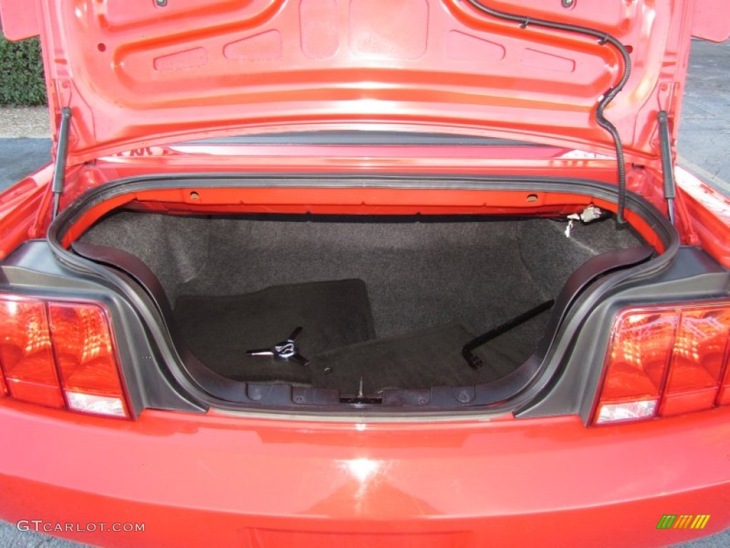 2007 Mustang V6 Deluxe Convertible - Torch Red / Dark Charcoal photo #20