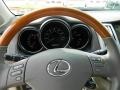 2009 Bamboo Pearl Lexus RX 350  photo #28