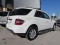Alabaster White - ML 350 4Matic Photo No. 3