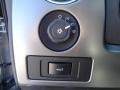 2012 Ingot Silver Metallic Ford F150 SVT Raptor SuperCrew 4x4  photo #35
