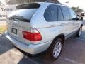 Titanium Silver Metallic - X5 3.0i Photo No. 3