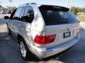 Titanium Silver Metallic - X5 3.0i Photo No. 5