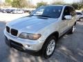 Titanium Silver Metallic - X5 3.0i Photo No. 7