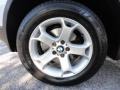 Titanium Silver Metallic - X5 3.0i Photo No. 10