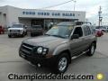 Granite Metallic 2004 Nissan Xterra XE
