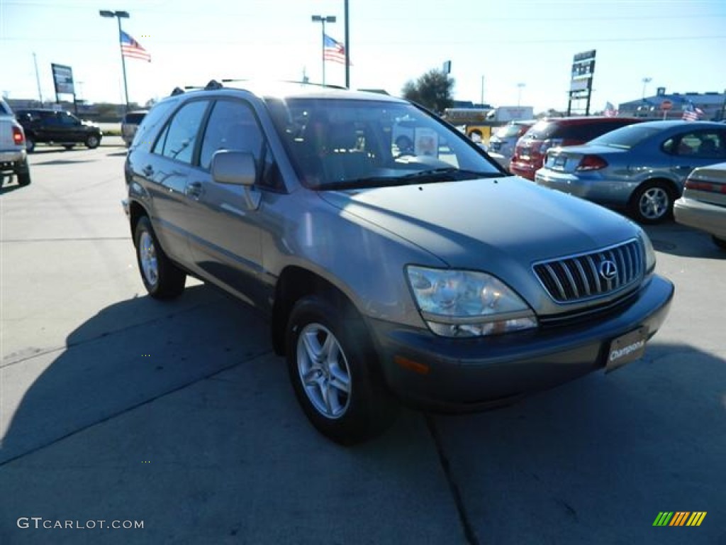 2001 RX 300 - Mineral Green Metallic / Ivory photo #3