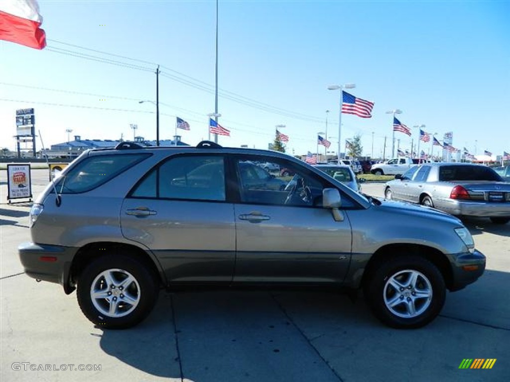 2001 RX 300 - Mineral Green Metallic / Ivory photo #4
