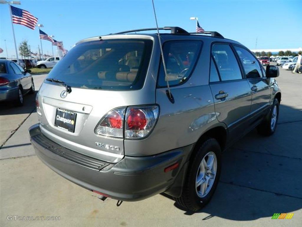 2001 RX 300 - Mineral Green Metallic / Ivory photo #5