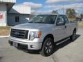 2012 Ingot Silver Metallic Ford F150 STX SuperCab 4x4  photo #2