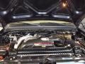 6.0 Liter Turbo Diesel OHV 32 Valve Power Stroke V8 Engine for 2006 Ford F350 Super Duty King Ranch Crew Cab 4x4 #59683004