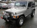 Silverstone Metallic 2002 Jeep Wrangler X 4x4