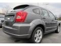 Tungsten Metallic - Caliber SXT Photo No. 3