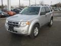 Silver Metallic - Escape XLT Photo No. 10
