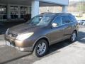 2012 Sahara Bronze Hyundai Veracruz Limited  photo #2