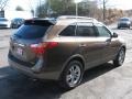 2012 Sahara Bronze Hyundai Veracruz Limited  photo #6