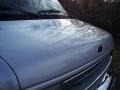 Silver Metallic - E Series Van E350 Passenger Conversion Photo No. 62