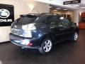 Flint Mica - RX 350 AWD Photo No. 2