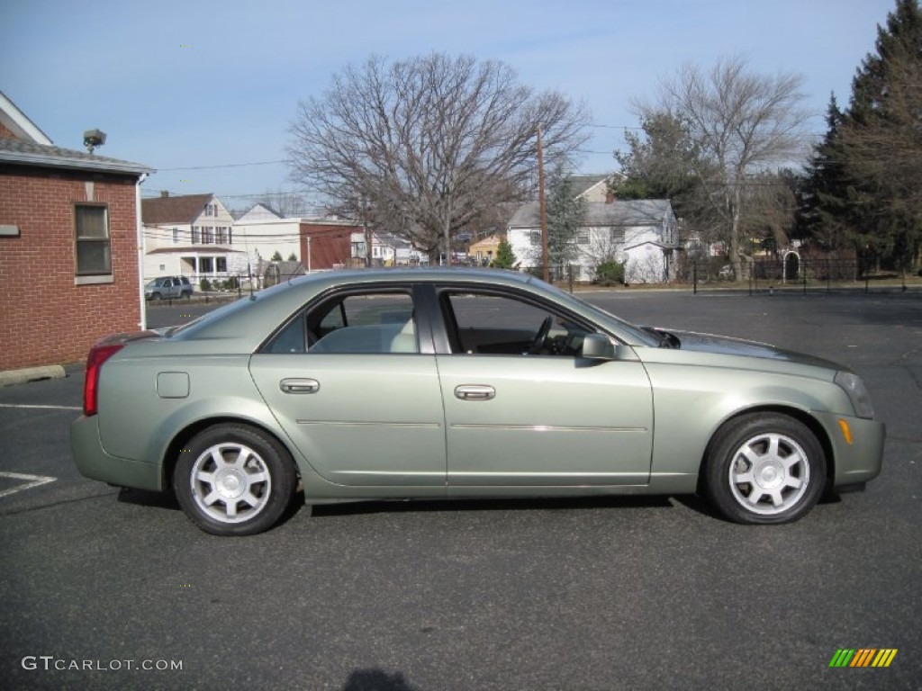 2004 CTS Sedan - Silver Green / Light Neutral photo #9