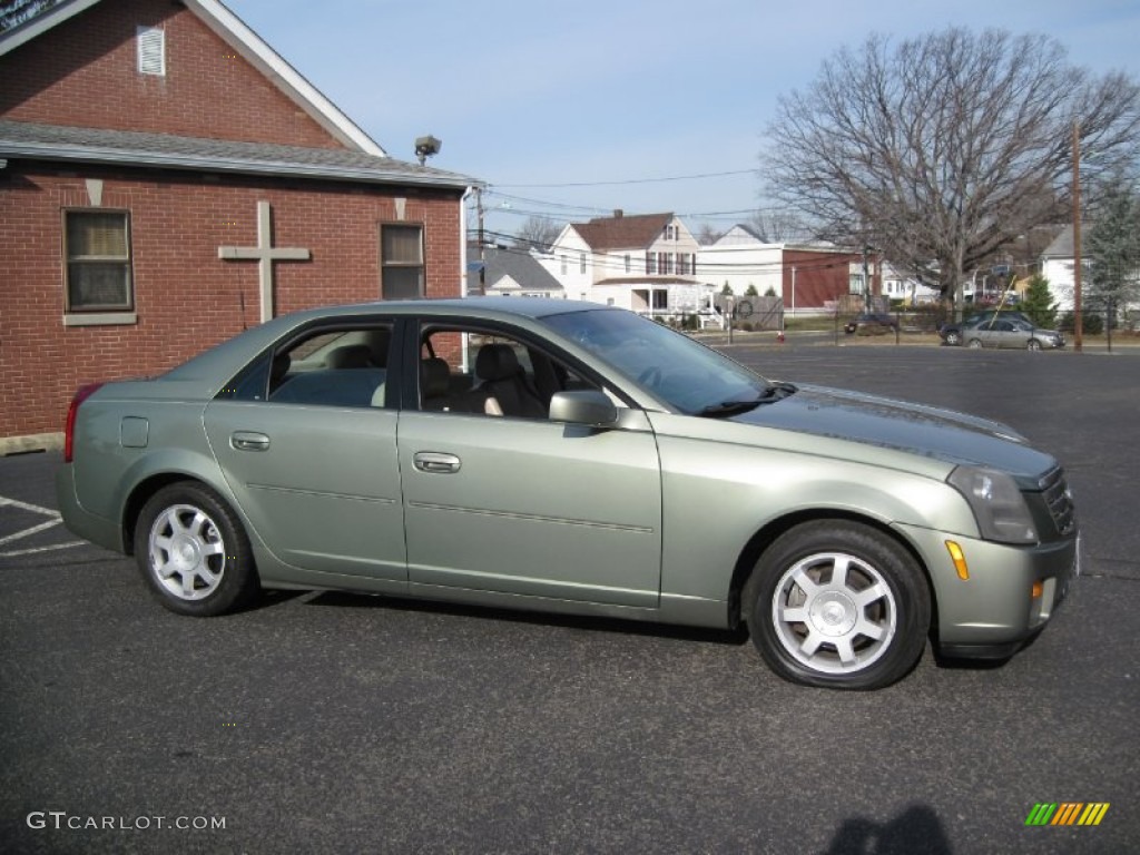 2004 CTS Sedan - Silver Green / Light Neutral photo #10