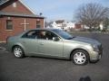 2004 Silver Green Cadillac CTS Sedan  photo #10