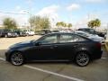2008 Smoky Granite Mica Lexus IS 250  photo #4