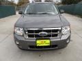 2010 Sterling Grey Metallic Ford Escape XLT  photo #8