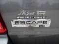 2010 Sterling Grey Metallic Ford Escape XLT  photo #18