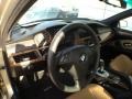 Platinum Bronze Metallic - 5 Series 528xi Sedan Photo No. 12