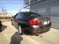 2011 Mojave Brown Metallic BMW 5 Series 528i Sedan  photo #6