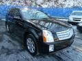 Black Raven - SRX V6 Photo No. 7