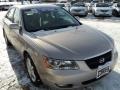 Golden Beige - Sonata SE V6 Photo No. 12