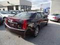 Black Cherry - CTS 4 AWD Sedan Photo No. 5