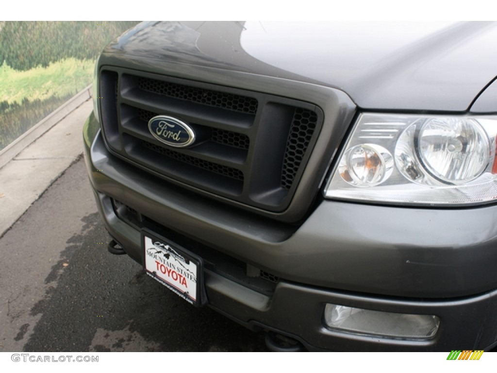 2004 F150 FX4 SuperCab 4x4 - Dark Shadow Grey Metallic / Black/Medium Flint photo #18