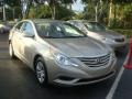 Camel Pearl - Sonata GLS Photo No. 1