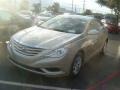 Camel Pearl - Sonata GLS Photo No. 3