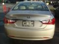 Camel Pearl - Sonata GLS Photo No. 6