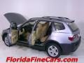 2005 Silver Gray Metallic BMW X3 3.0i  photo #8