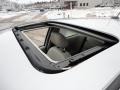 Silver Frost Metallic - Focus SES Coupe Photo No. 15