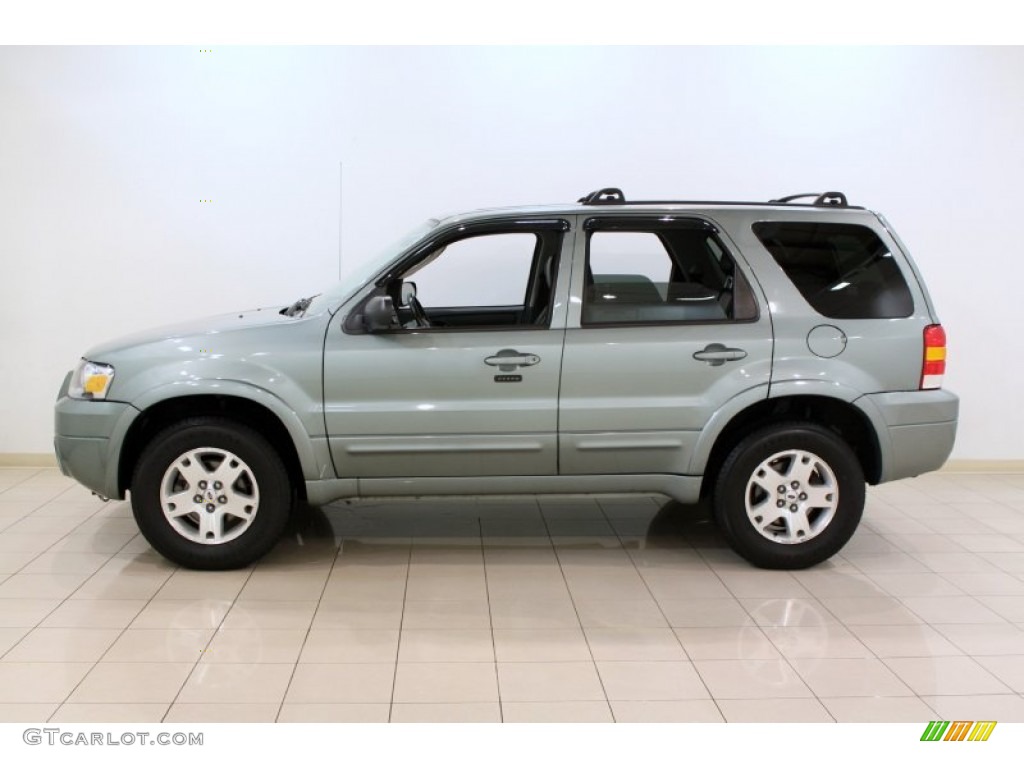 2006 Escape Limited 4WD - Titanium Green Metallic / Ebony Black photo #4