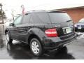 Black - ML 350 4Matic Photo No. 15