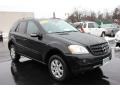 Black - ML 350 4Matic Photo No. 18