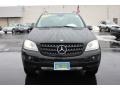 Black - ML 350 4Matic Photo No. 19