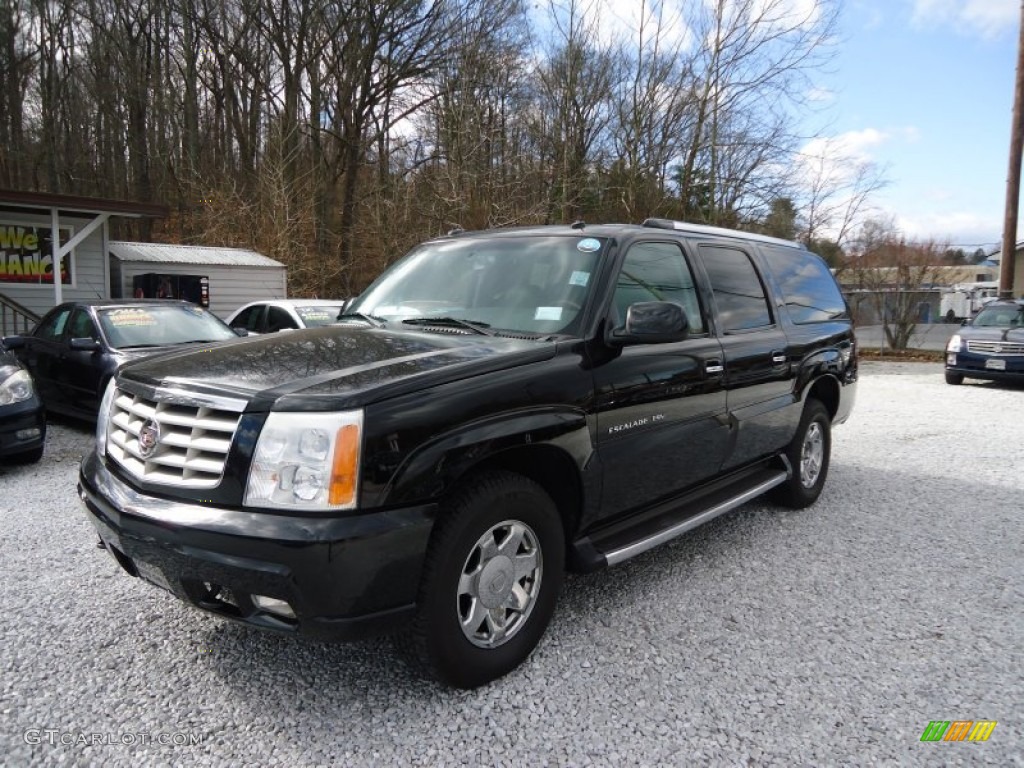 2003 Escalade ESV AWD - Sable Black / Shale photo #1