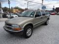 Light Pewter Metallic - S10 LS Crew Cab 4x4 Photo No. 2