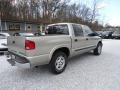 Light Pewter Metallic - S10 LS Crew Cab 4x4 Photo No. 4