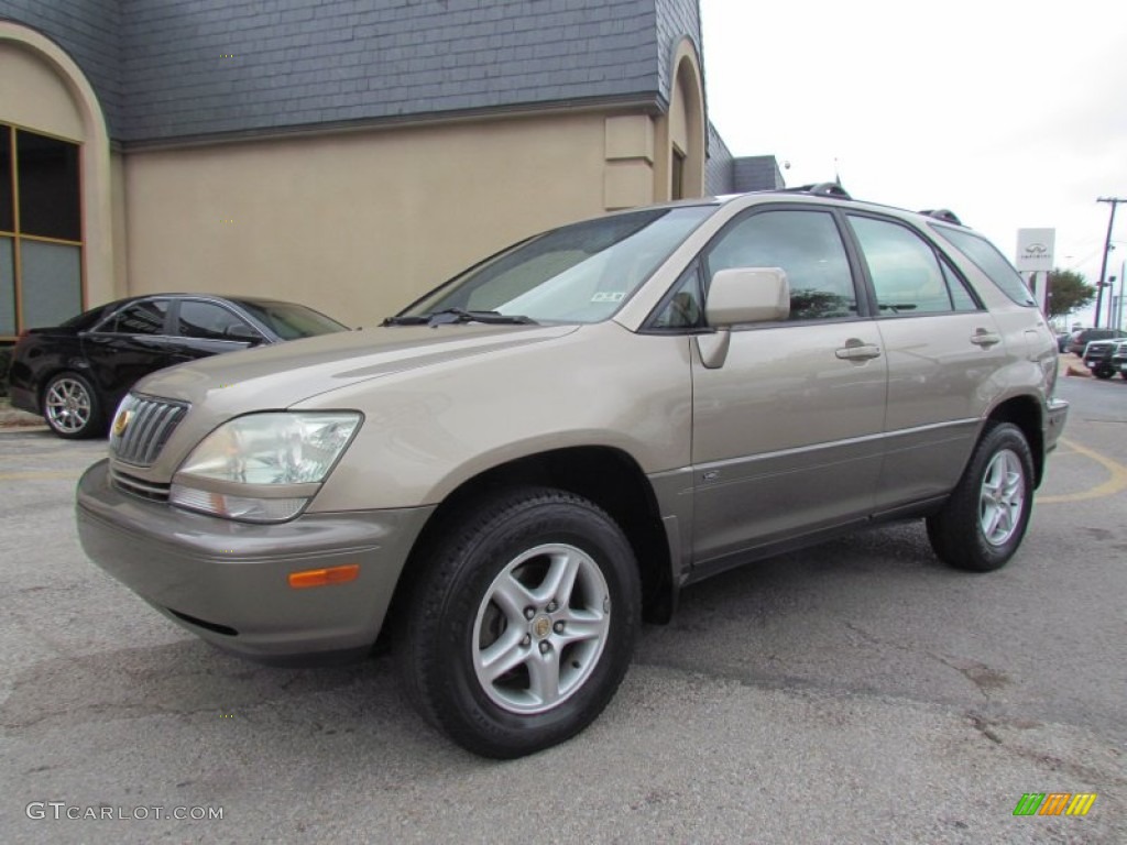 2001 RX 300 - Sunset Mist Pearl / Ivory photo #7