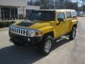 Yellow - H3  Photo No. 1