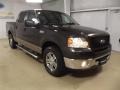 2006 Dark Stone Metallic Ford F150 XLT SuperCrew  photo #3