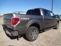 Sterling Gray Metallic - F150 Lariat SuperCrew 4x4 Photo No. 7