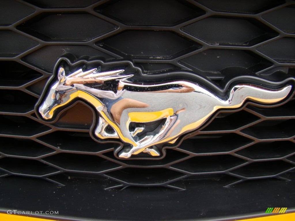 2009 Ford Mustang Racecraft 420S Supercharged Coupe Marks and Logos Photo #59761142